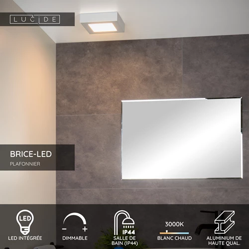 Lucide BRICE-LED - Plafonnier Salle de bains - LED Dim. - 1x15W 3000K - IP44 - Blanc - USP